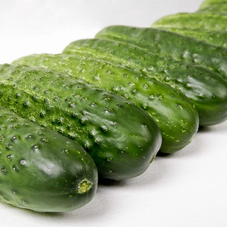 Платіна F1 / Platina F1,45-48 днів фото 1