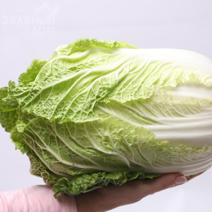 Тахіра F1 / Tahira F1 фото 2