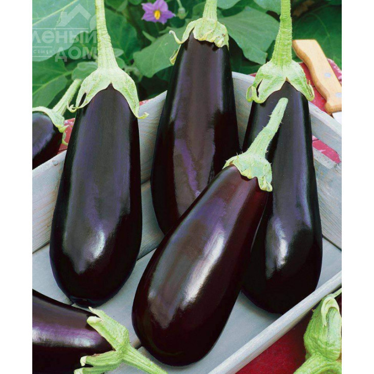 Гобі / Gobi фото 1