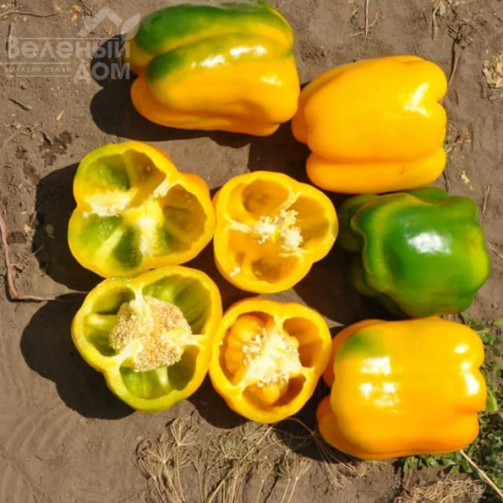 Гуалда F1 / Gualda F1 фото 2