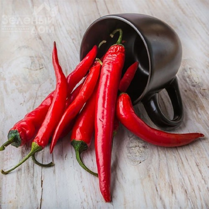 Каєнський / Kayenskiy,130-140 днів фото 1