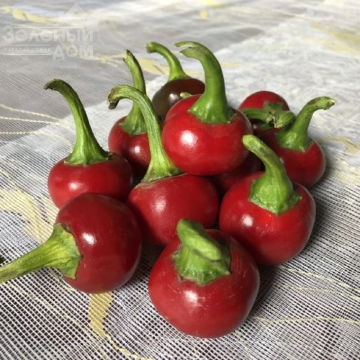 Глобус F1 / Globus F1,70 дней фото 1