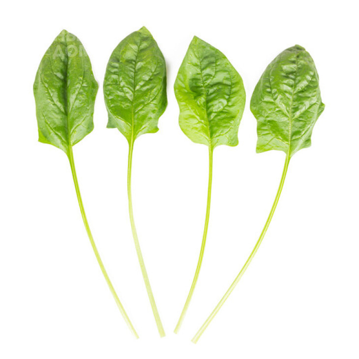 Блобфіш F1 / Blobfish F1 фото 1