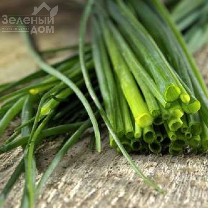 Еректа / Erecta,40-50 днів фото 1