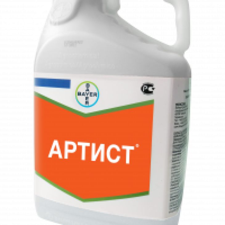 Артист / Artist фото 1