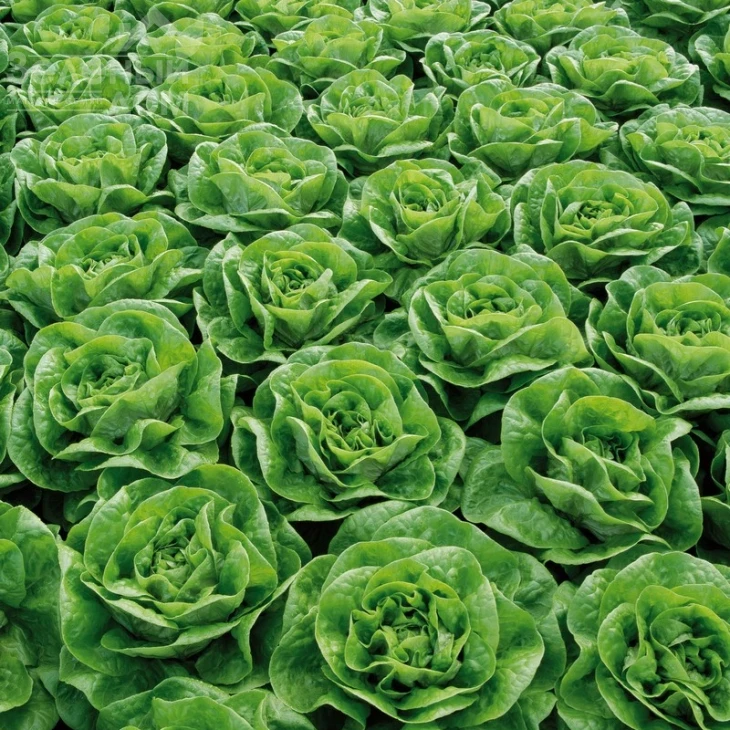 Брайтон / Brighton фото 2