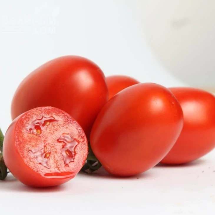 Техас F1 / Tehas F1,95-100 дней фото 3