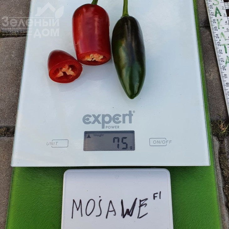 Моджаве F1 / Modzhave F1 фото 3