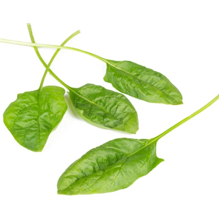 Блофбиш F1 / Blobfish F1 фото 3