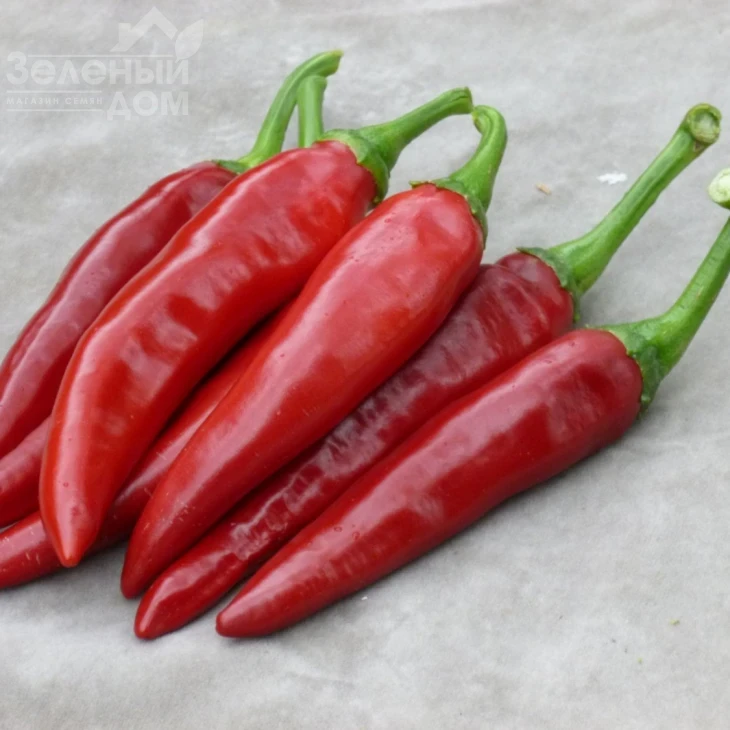 Палоташ F1 / Palotash F1, 95 -110 дней фото 1