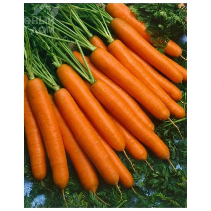 Йолана F1 / Jolana F1,90-100 дней фото 1