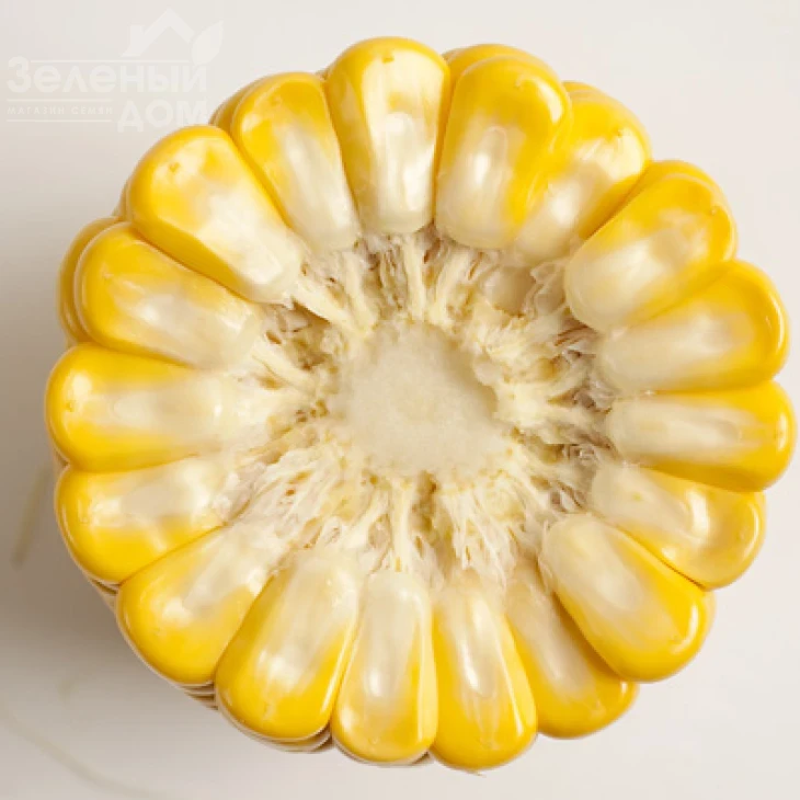 ГСС 8529 F1 / GSS8529 F1,80 дней фото 2