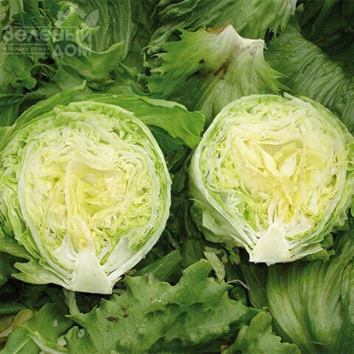 Энсамбл / Ensamble фото 1