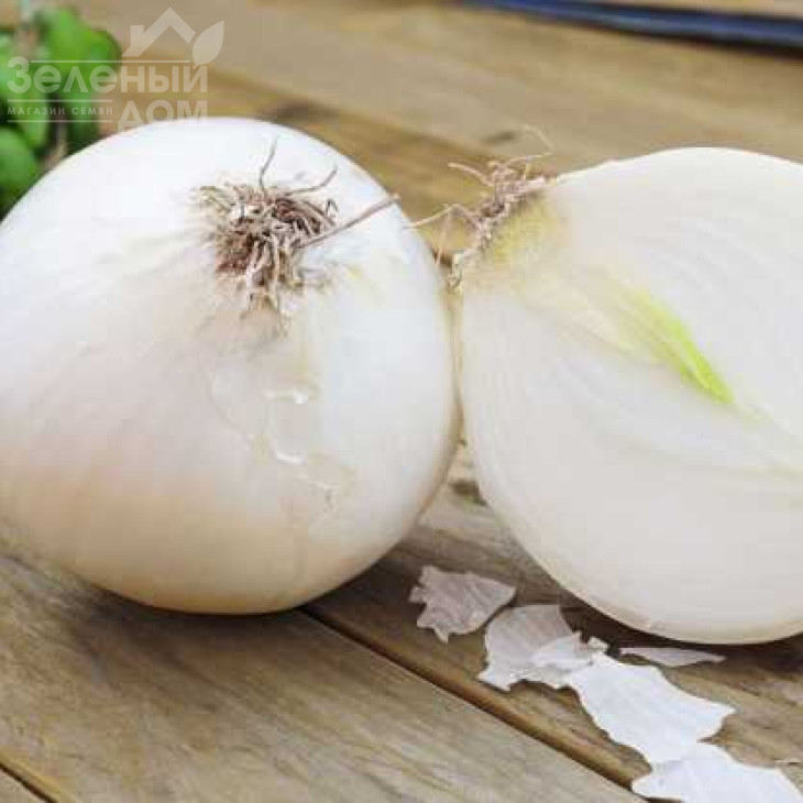 Вайт Меджик F1 / White Magic F1,115 днів фото 1