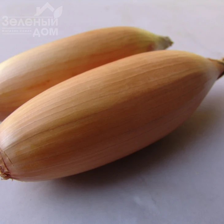 Тоска / Tosca,130-135 дней фото 1