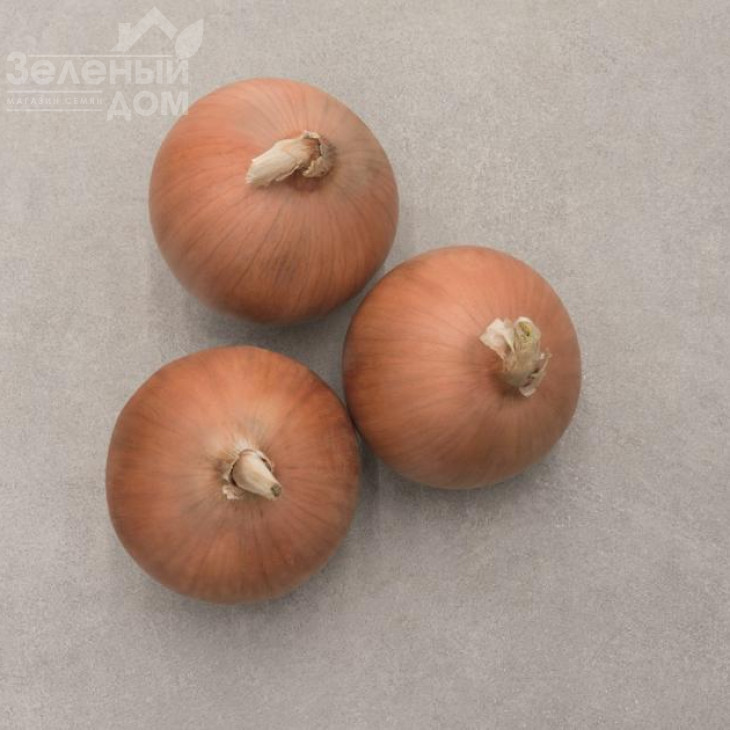 Стінгрей F1 / Stingrey F1,110 днів фото 1