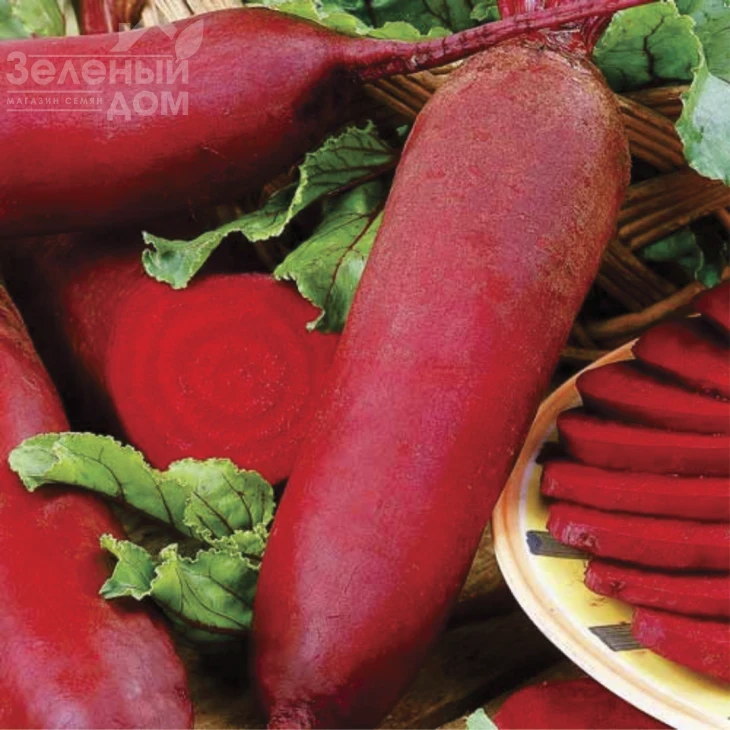 Цилиндра / Cylinder фото 1