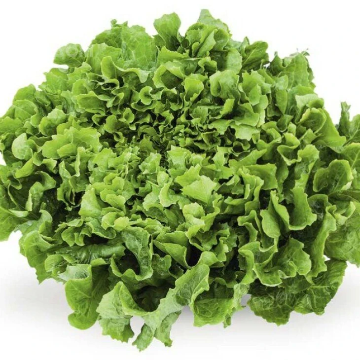 Анконі / Anconi фото 1