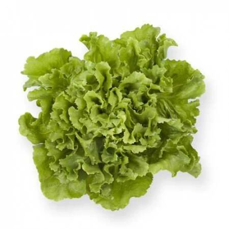 Сейшел / Seychel фото 1