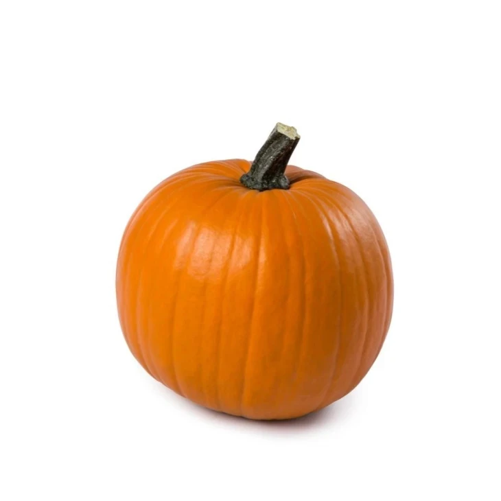 Терафин F1 / Terafin F1  фото 1