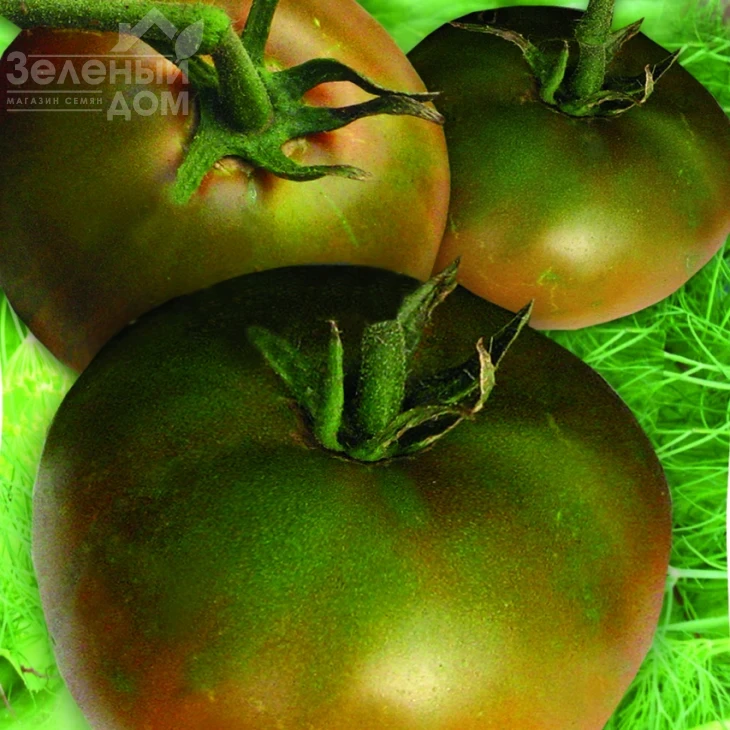 Черный принц / Chernyy prints фото 1