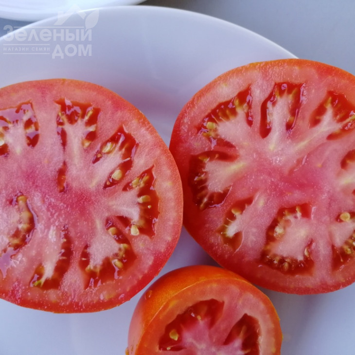 Ред Булл F1 / Red Bull F1 фото 4