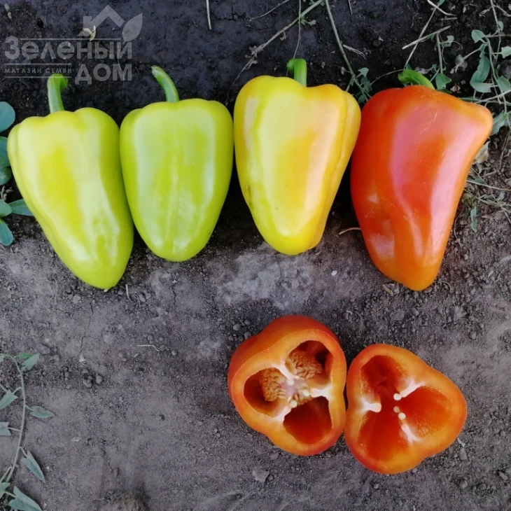 Венера F1 / Venera F1 фото 3