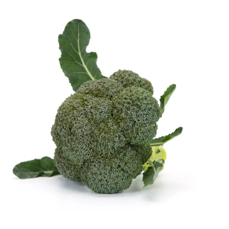 Викарио F1 / Vicario F1, 65-70 дней фото 2