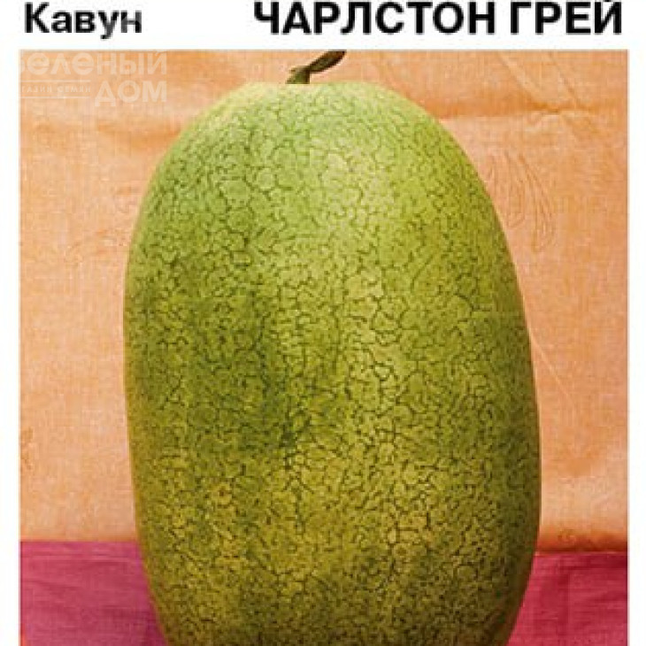 Чарльстон Грей / Charleston grey, 85-90 днів фото 2