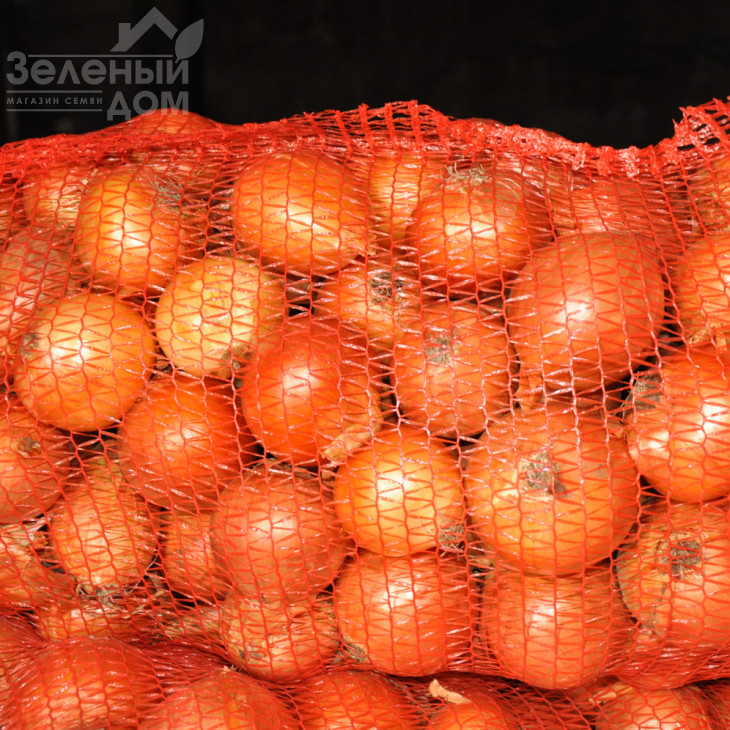 Хайденс F1 / Haydens F1, 125-130 днів фото 2