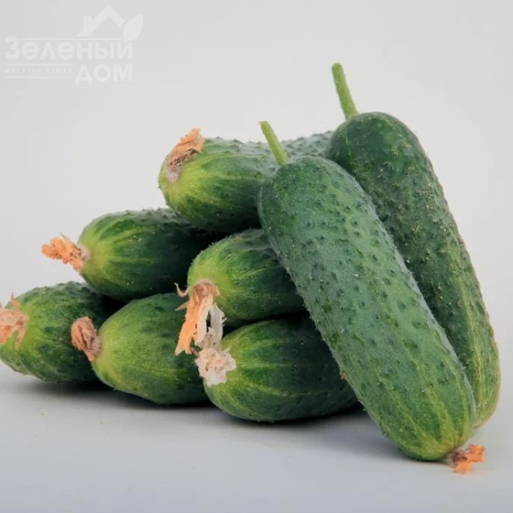 ЛС 1912 F1 / LS 1912 F1 фото 1