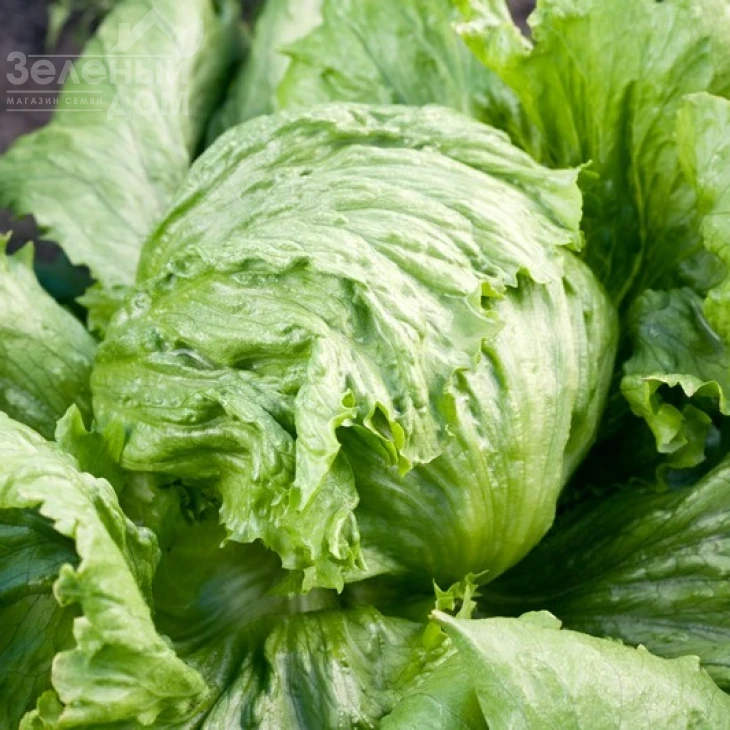 Диамантинас / Diamantinas фото 1