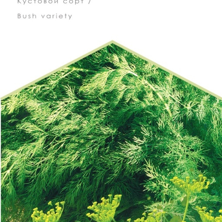 Алігатор / Aligator фото 1