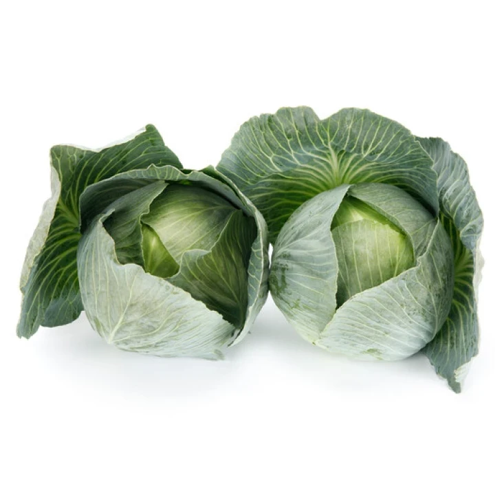 Владима F1 / Vladima F1, 130 дней фото 1