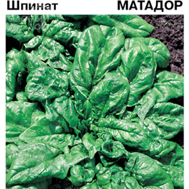 Матадор / Matador фото 1