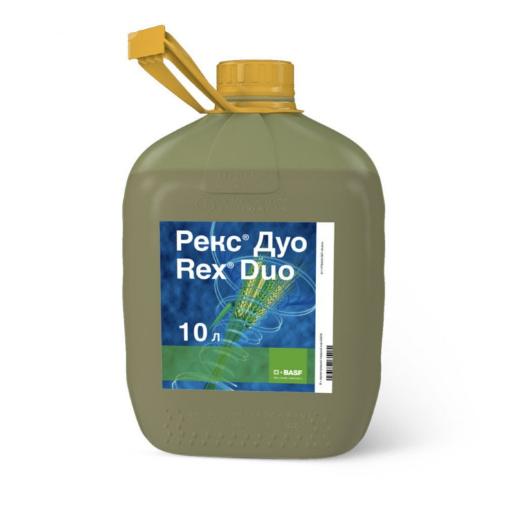 Рекс Дуо / Rex Duo, КЕ фото 1