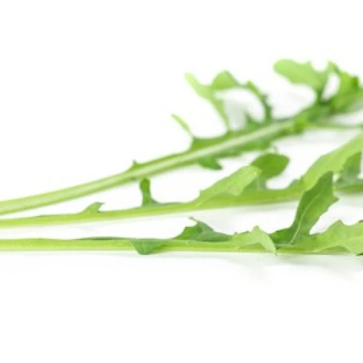 Темисто / Themisto фото 1