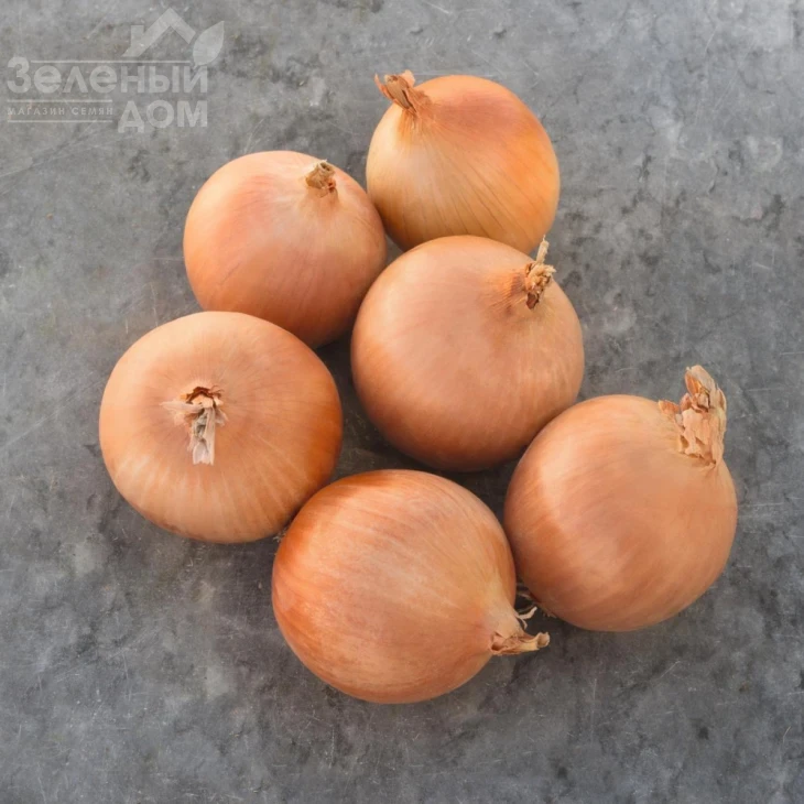 Седона F1 / Sedona F1,110 дней фото 1