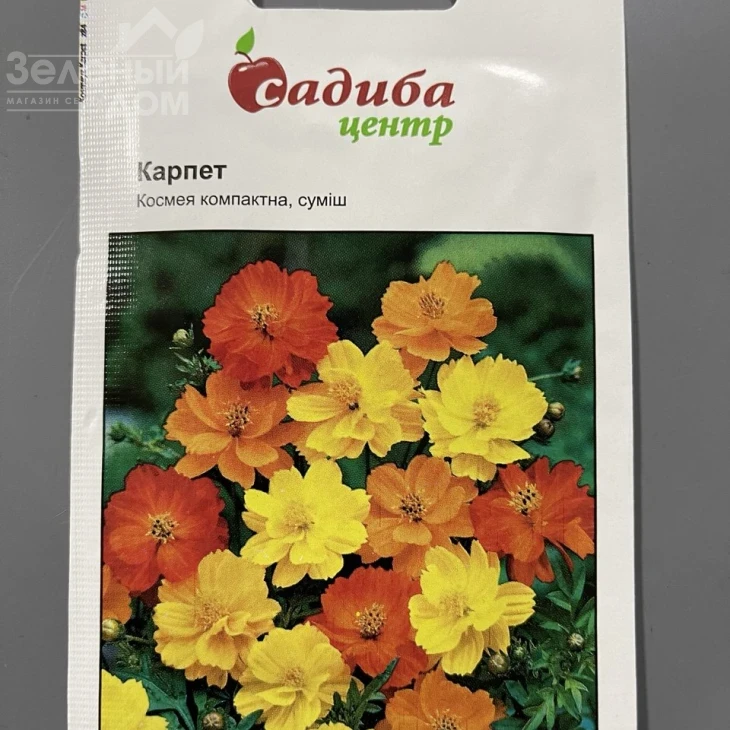 Космея компактная Карпет (смесь) фото 1