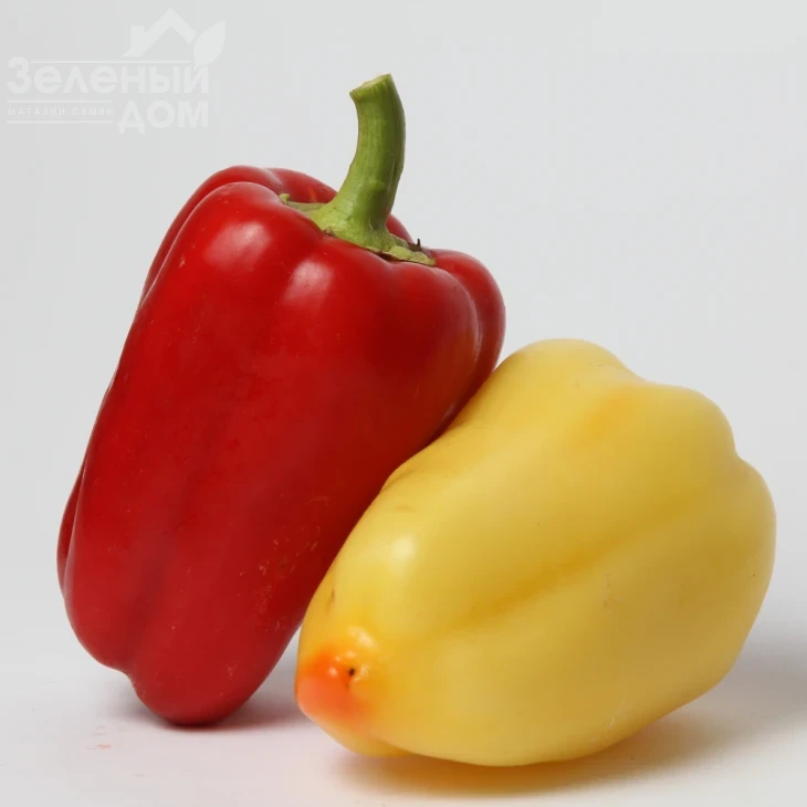 Боярд F1 / Boiyard F1,70-75 дней фото 1