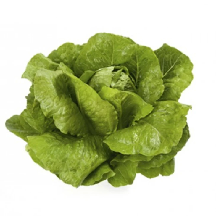 Веродита / Verodita фото 1