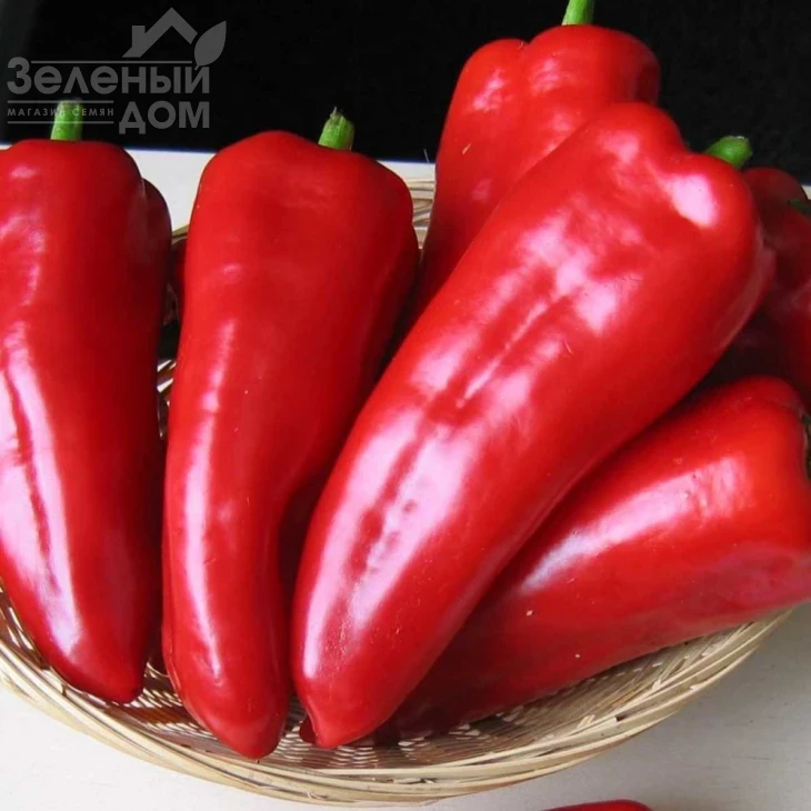 Самандер F1 / Samander F1,55-65 дней фото 2