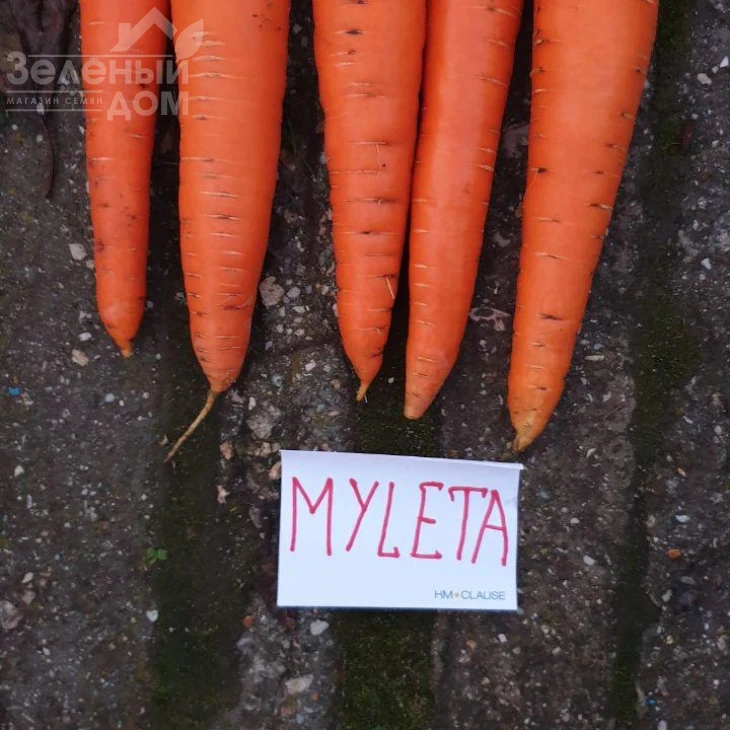 Мулета F1 / Myleta F1, 130 днів фото 1