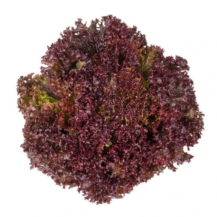 Самантайн / Samantine фото 2