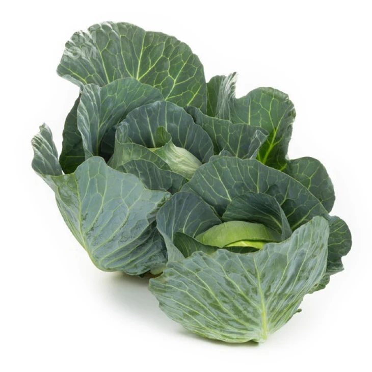 Свингма F1 / Swigma F1, 70-85 дней фото 1