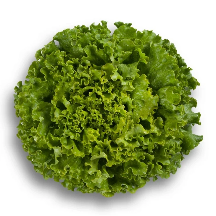 Патишн / Partition фото 1