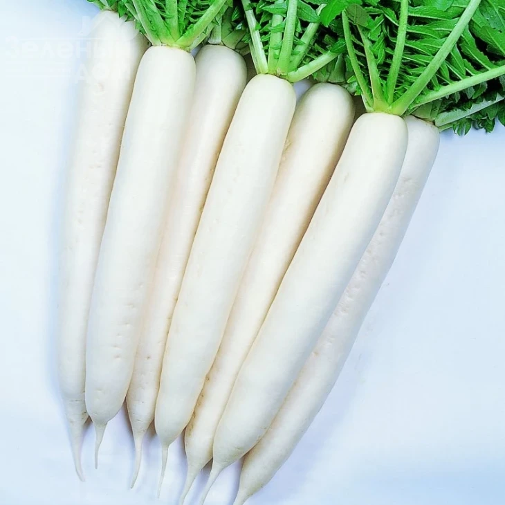 Эприл Крос F1 / April Kross F1 фото 1