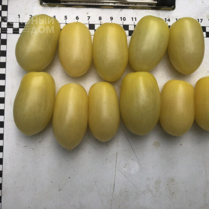 Смарт F1 / Smart F1, 95 днів фото 2