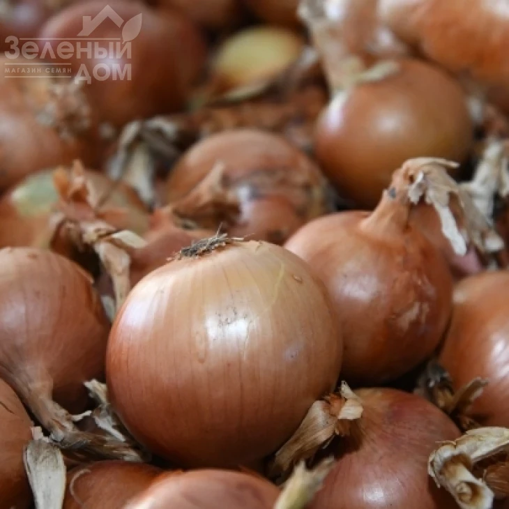 Браун F1 / Brown F1 фото 1