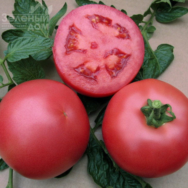 ВП-1 F1 / VP-1 F1,65-68 днів фото 1